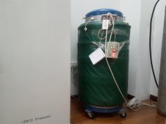 YDS-110-290液氮罐